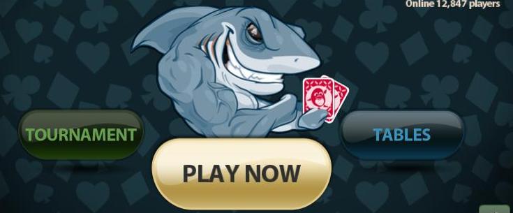 Как играть в покер Шарк: правила и основные нюансы игры