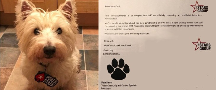 PokerStars в свою команду PRO принял пса Джеффа